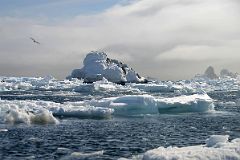 19F Icebergs Float In The Water From The Zodiac Near Aitcho Barrientos Island In South Shetland Islands On Quark Expeditions Antarctica Cruise.jpg